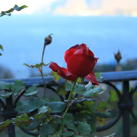 Alba Sul Séjour chez l'habitant