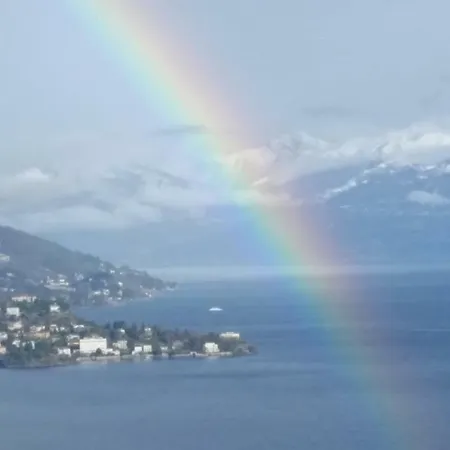 Alba Sul Проживание в семье